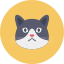 Кошки