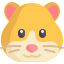 Хомячки